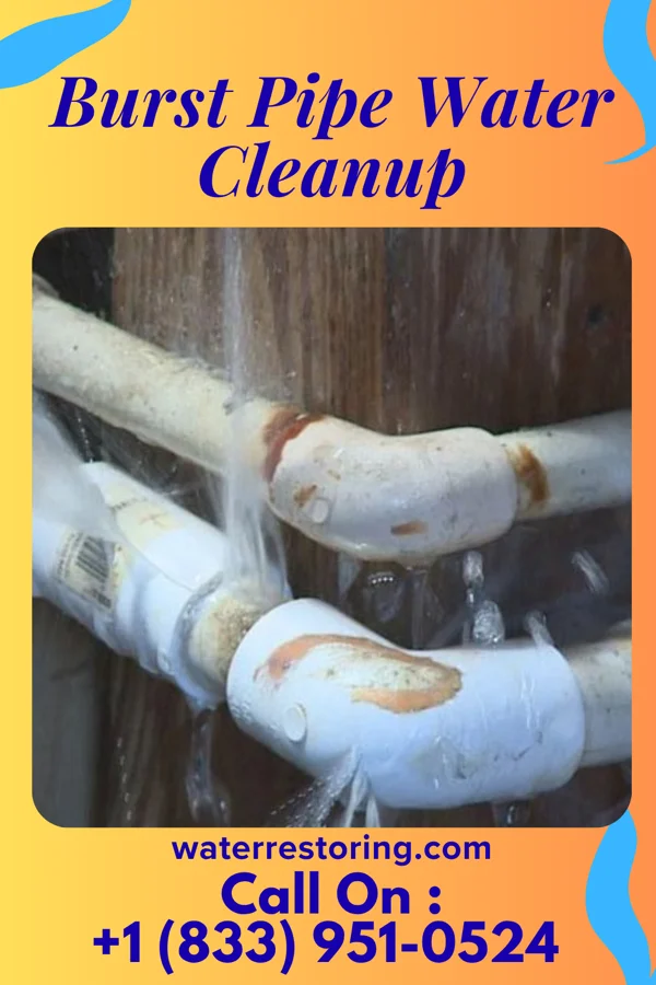 Burst Pipe Water Cleanup in Sherrodsville, OH
