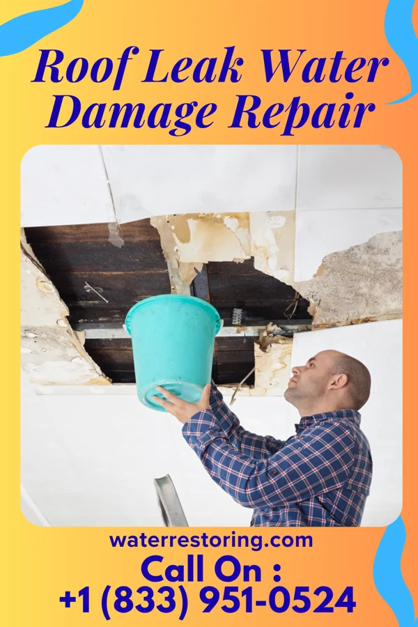 Roof Leak Water Damage Repair in Sherrodsville, OH