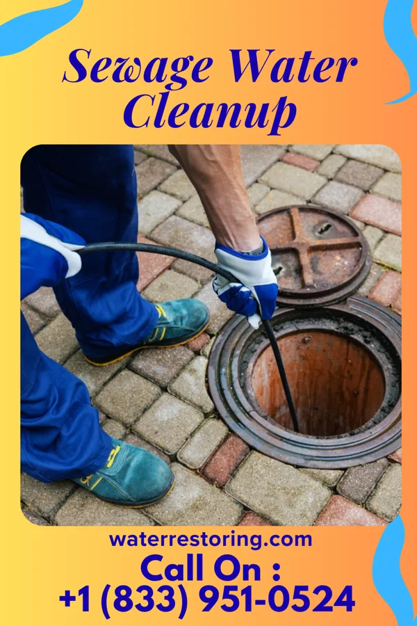 Sewage Water Cleanup in Sherrodsville, OH